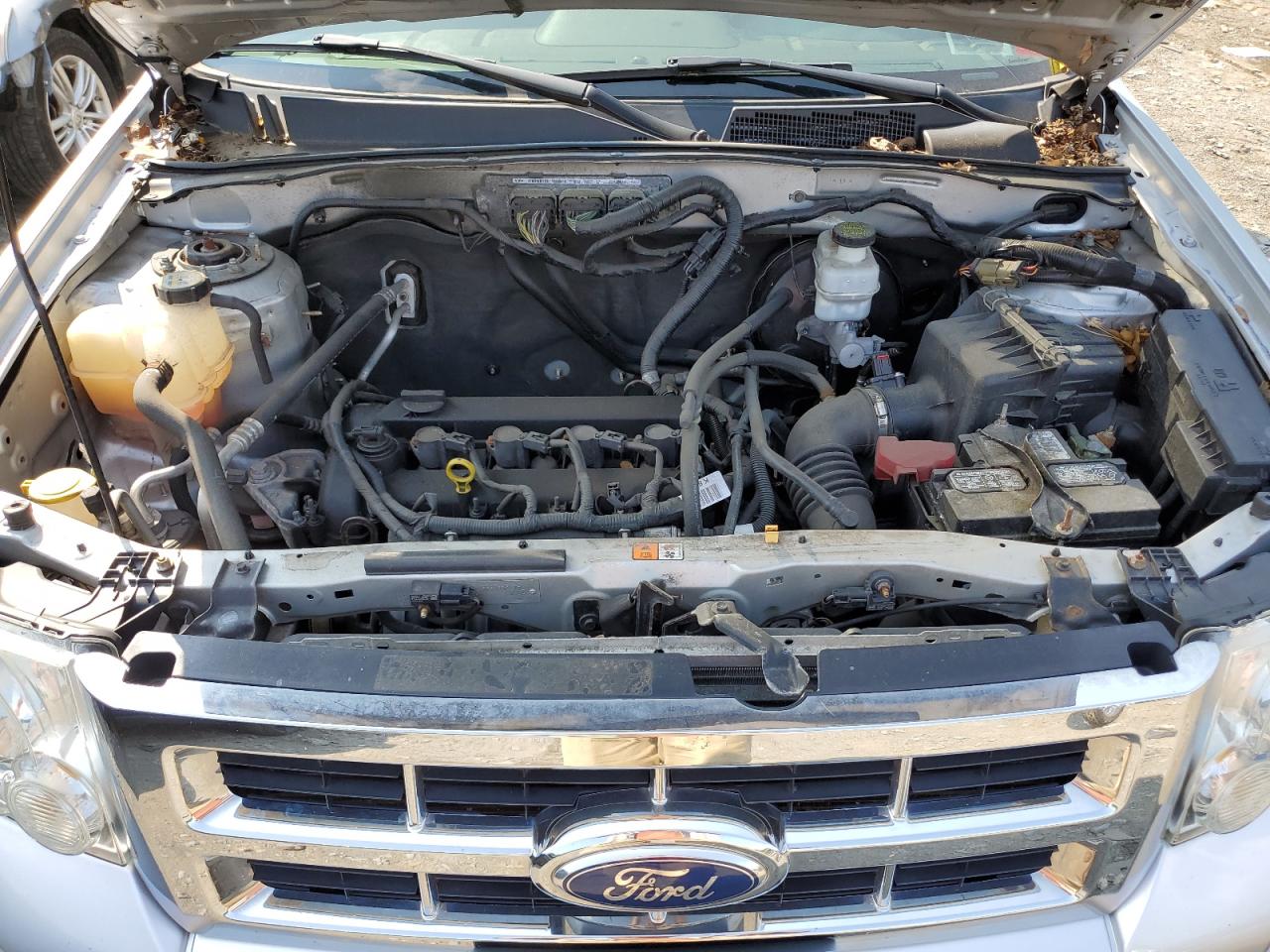 2012 Ford Escape Xlt VIN: 1FMCU9D76CKA80387 Lot: 65897734