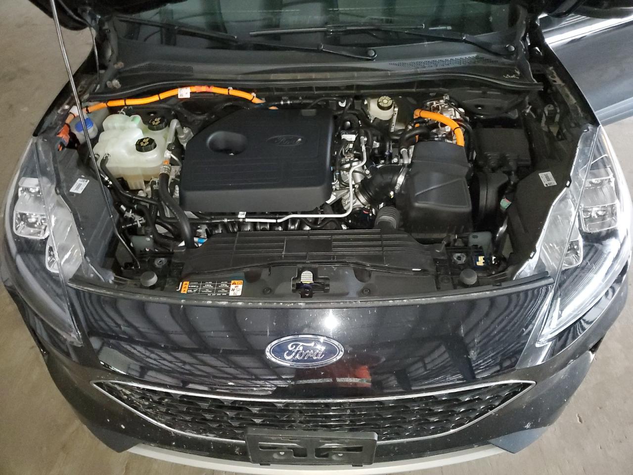 2020 Ford Escape Titanium VIN: 1FMCU0DZ5LUB83074 Lot: 66062424