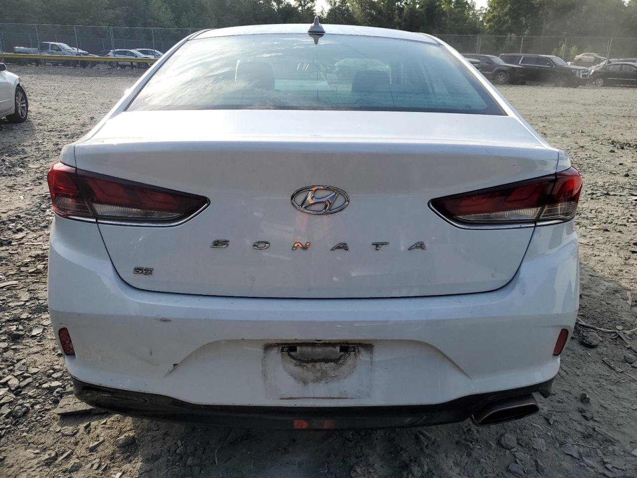 2019 Hyundai Sonata Se VIN: 5NPE24AF9KH787921 Lot: 67261564