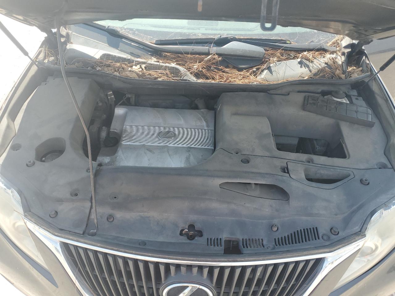 2010 Lexus Rx 350 VIN: 2T2BK1BA9AC044807 Lot: 66876274