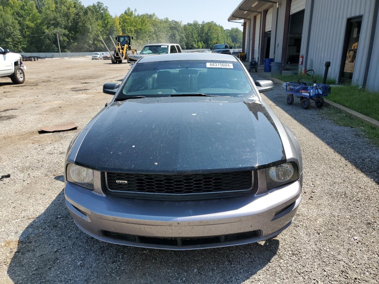 2007 Ford Mustang Gt VIN: 1ZVHT82H875243920 Lot: 68375604