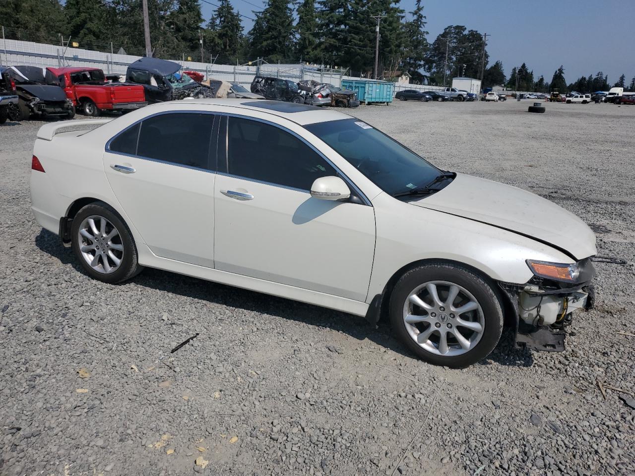 2006 Acura Tsx VIN: JH4CL96976C036501 Lot: 66042464