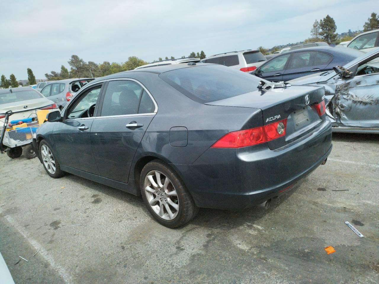2006 Acura Tsx VIN: JH4CL96866C038330 Lot: 65867344