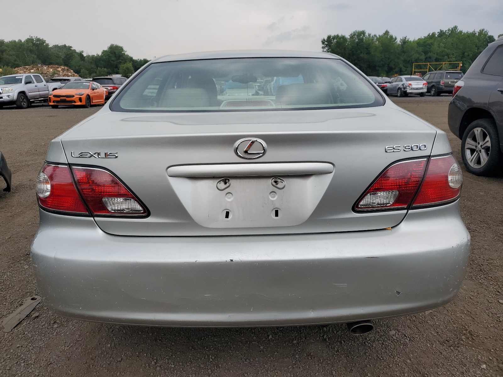 JTHBF30G636000977 2003 Lexus Es 300