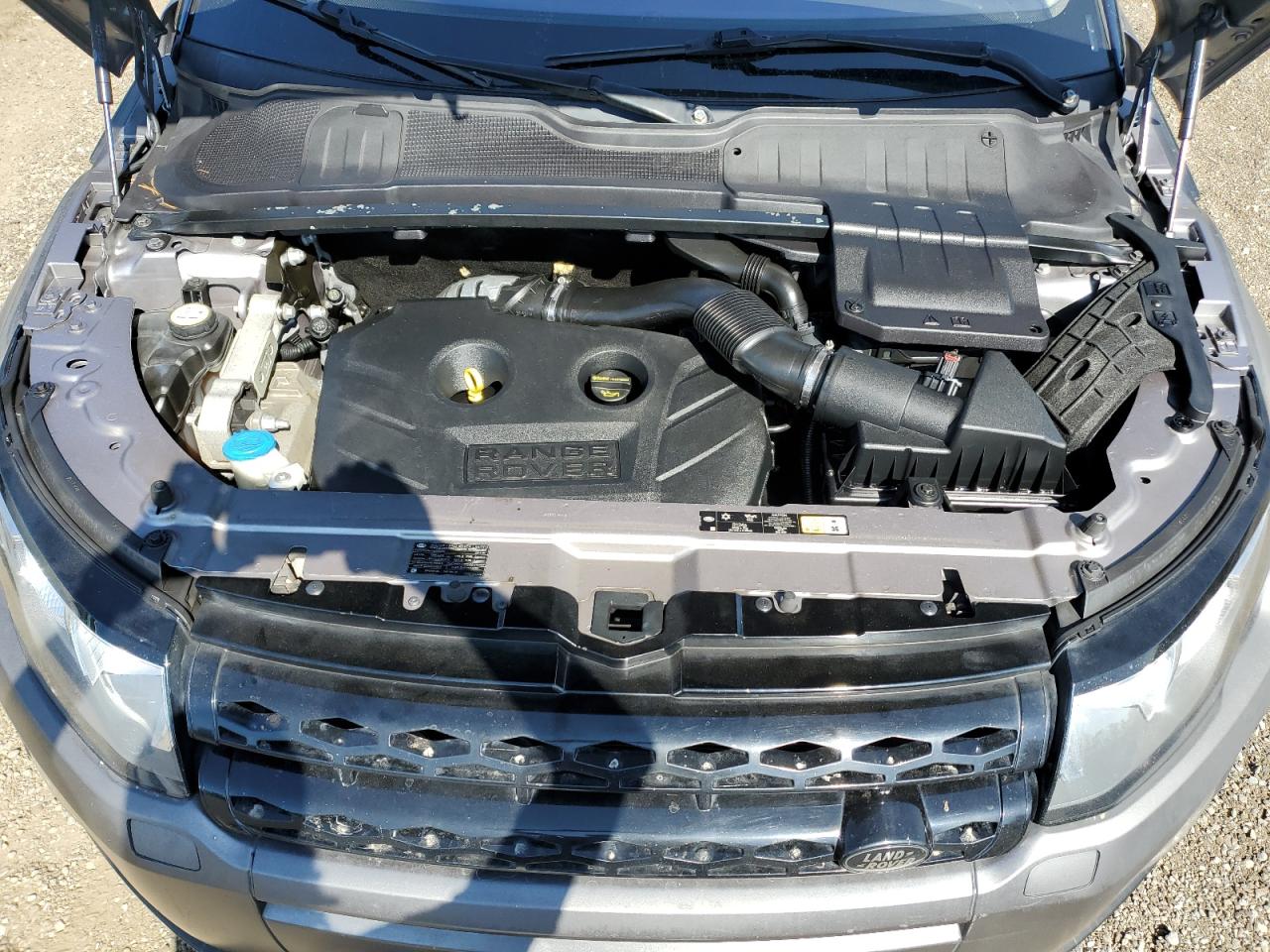 2013 Land Rover Range Rover Evoque Pure Plus VIN: SALVP1BG2DH776664 Lot: 66348104