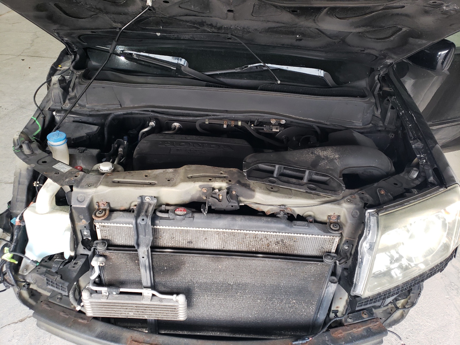 5FNYF4H56BB039950 2011 Honda Pilot Exl