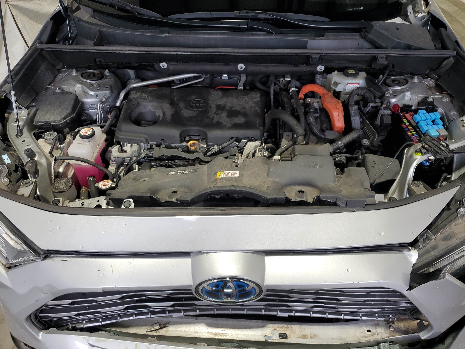 2T3E6RFV1MW026359 2021 Toyota Rav4 Xse