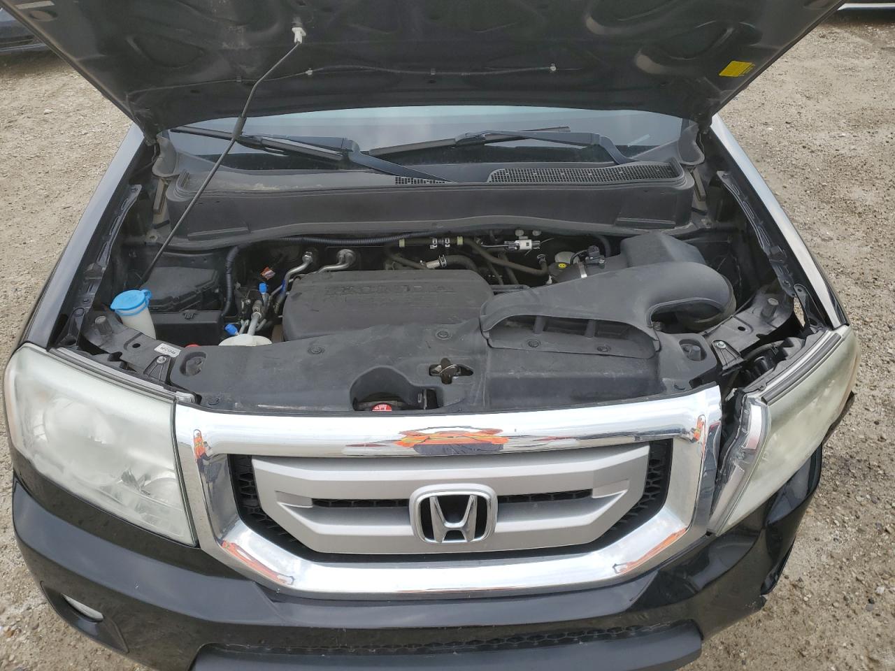 2011 Honda Pilot Exl VIN: 5FNYF4H57BB502890 Lot: 64051004