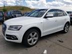 2014 Audi Sq5 Prestige იყიდება Littleton-ში, CO - Hail