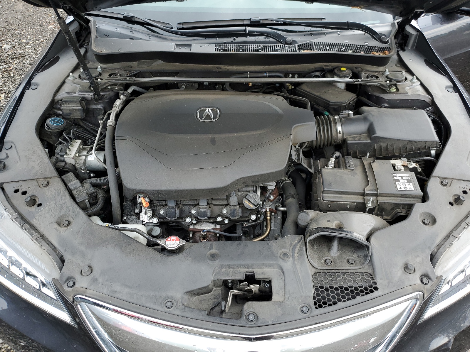 19UUB2F59FA009665 2015 Acura Tlx Tech