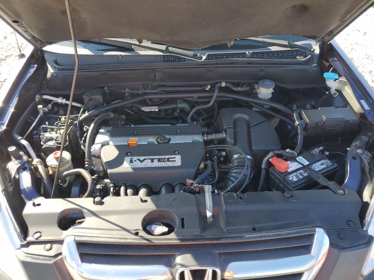 2003 Honda Cr-V Ex VIN: SHSRD78853U145631 Lot: 66371954