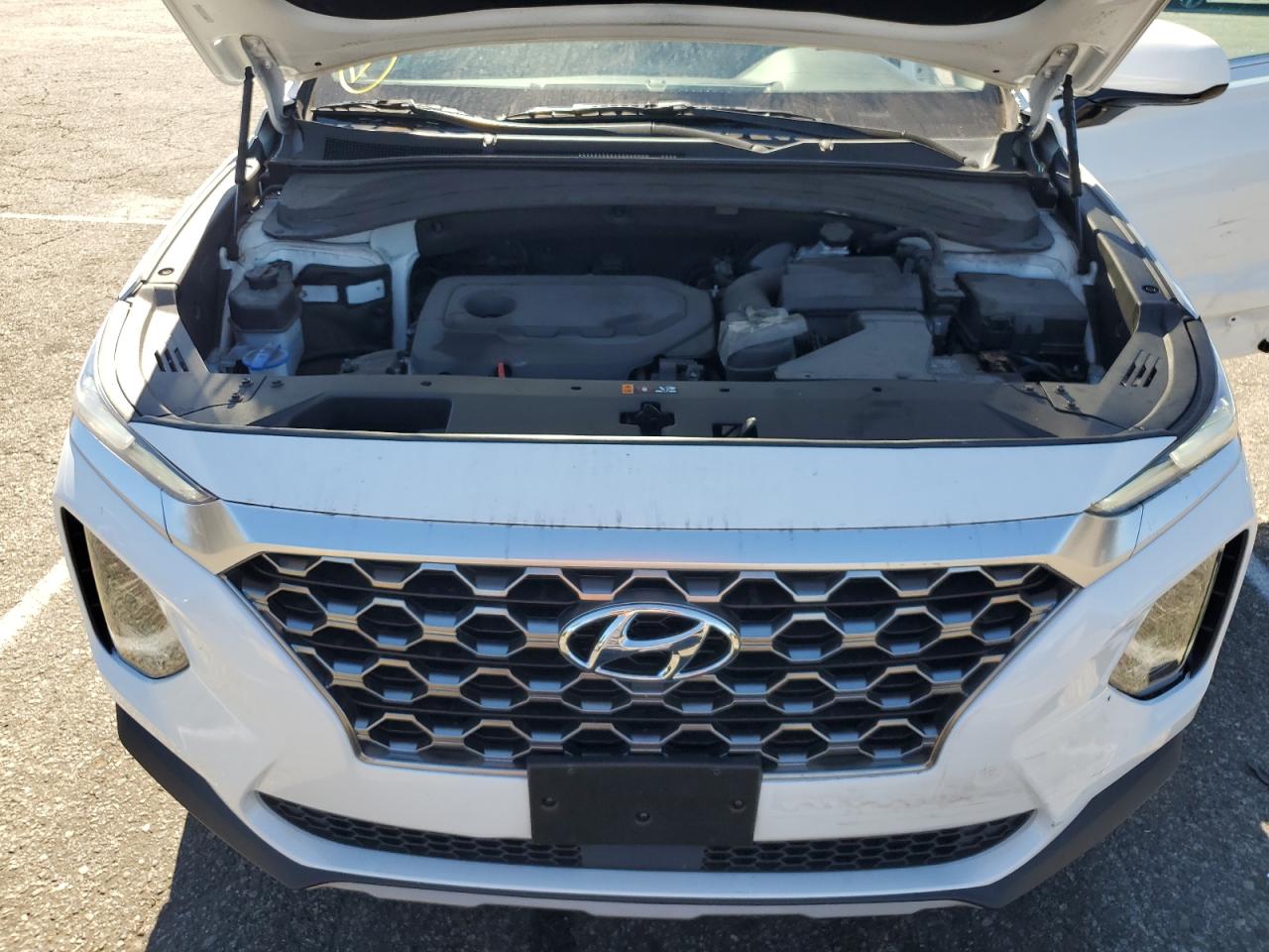 2020 Hyundai Santa Fe Sel VIN: 5NMS33AD8LH273596 Lot: 67526624