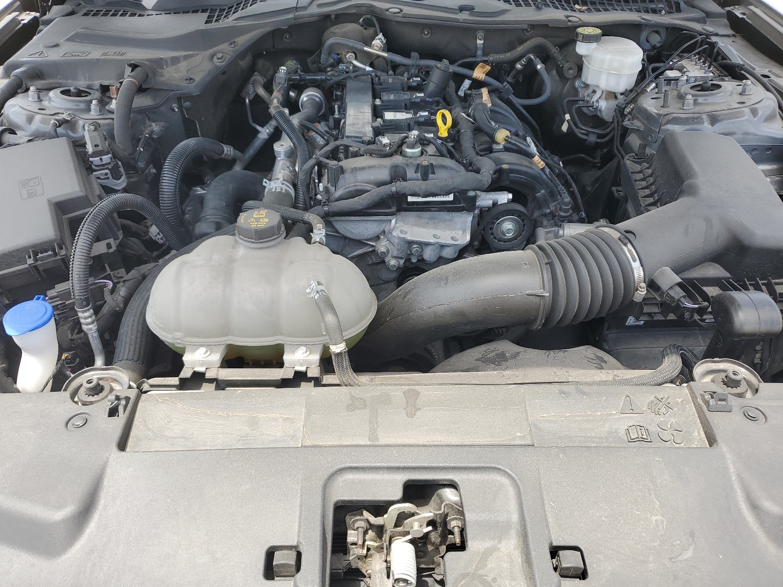 1FA6P8TH8N5118304 2022 Ford Mustang