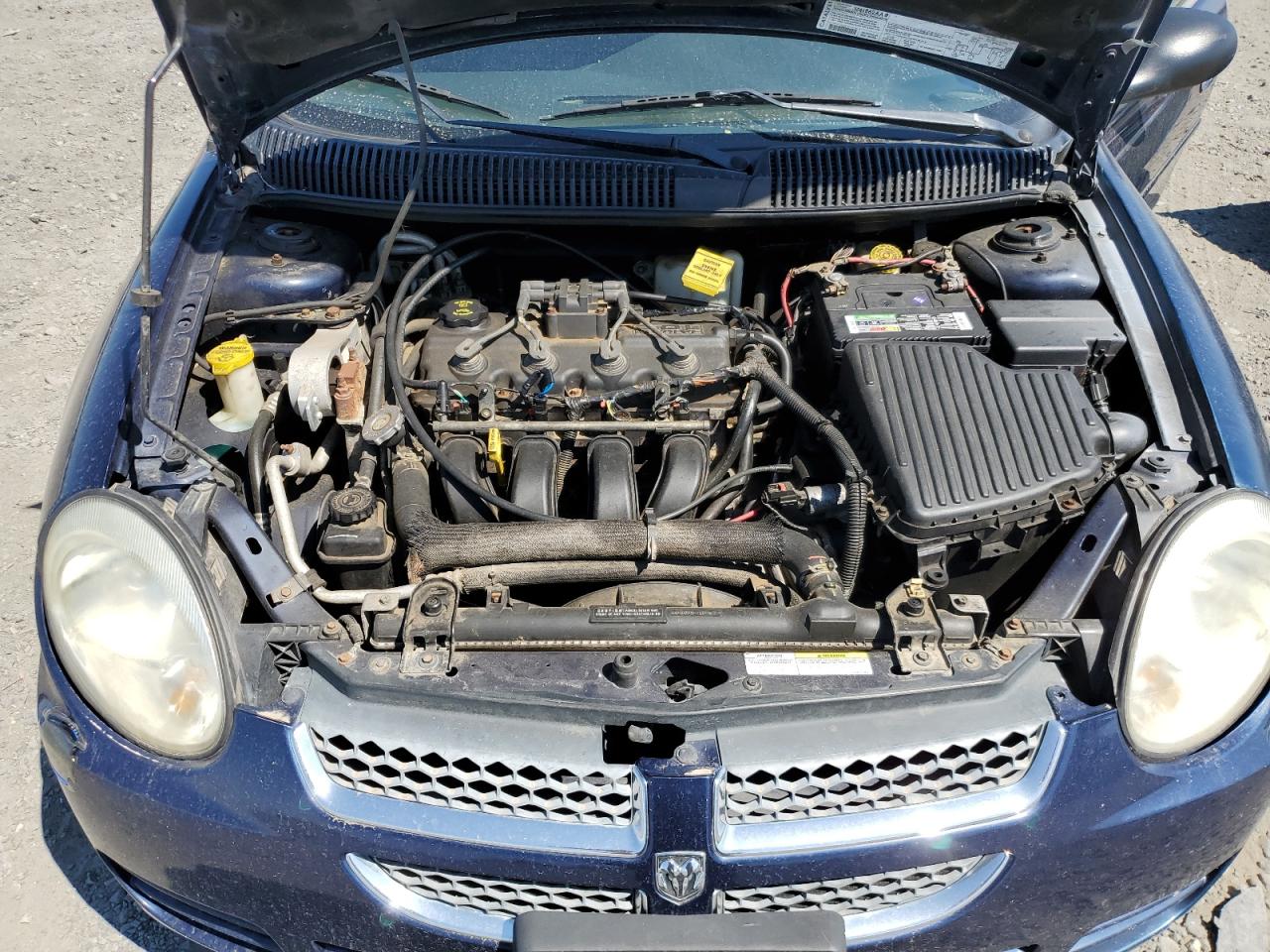 2005 Dodge Neon Sxt VIN: 1B3ES56C55D239818 Lot: 65859654