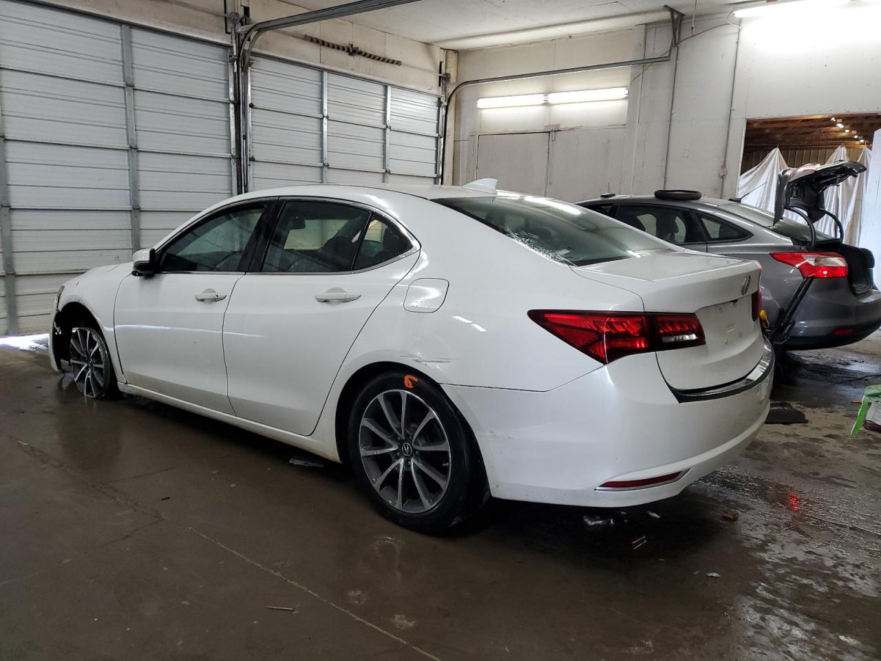 2016 Acura Tlx VIN: 19UUB2F34GA000226 Lot: 66303024