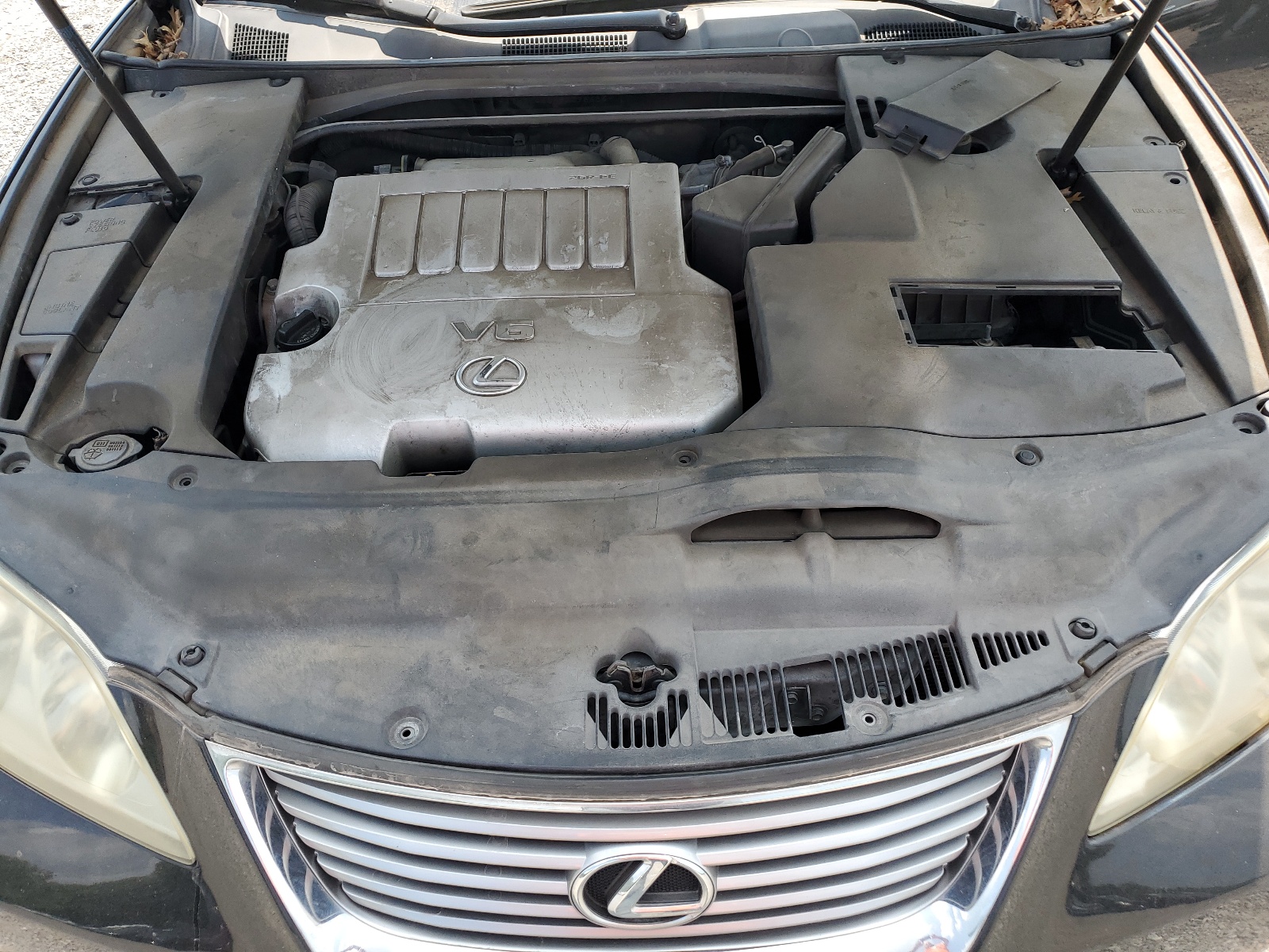 JTHBJ46GX92298686 2009 Lexus Es 350