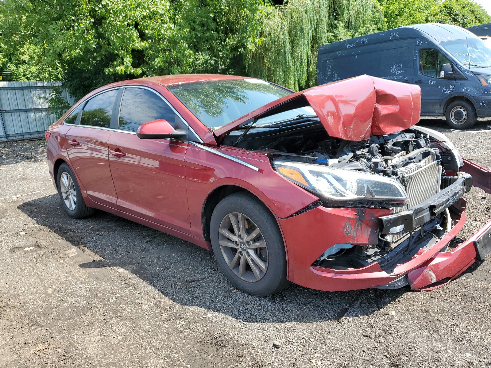 5NPE24AF4GH303516 2016 Hyundai Sonata Se