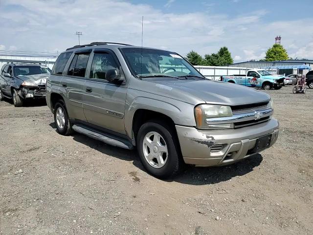 2002 Chevrolet Trailblazer VIN: 1GNDT13S222170841 Lot: 65637494