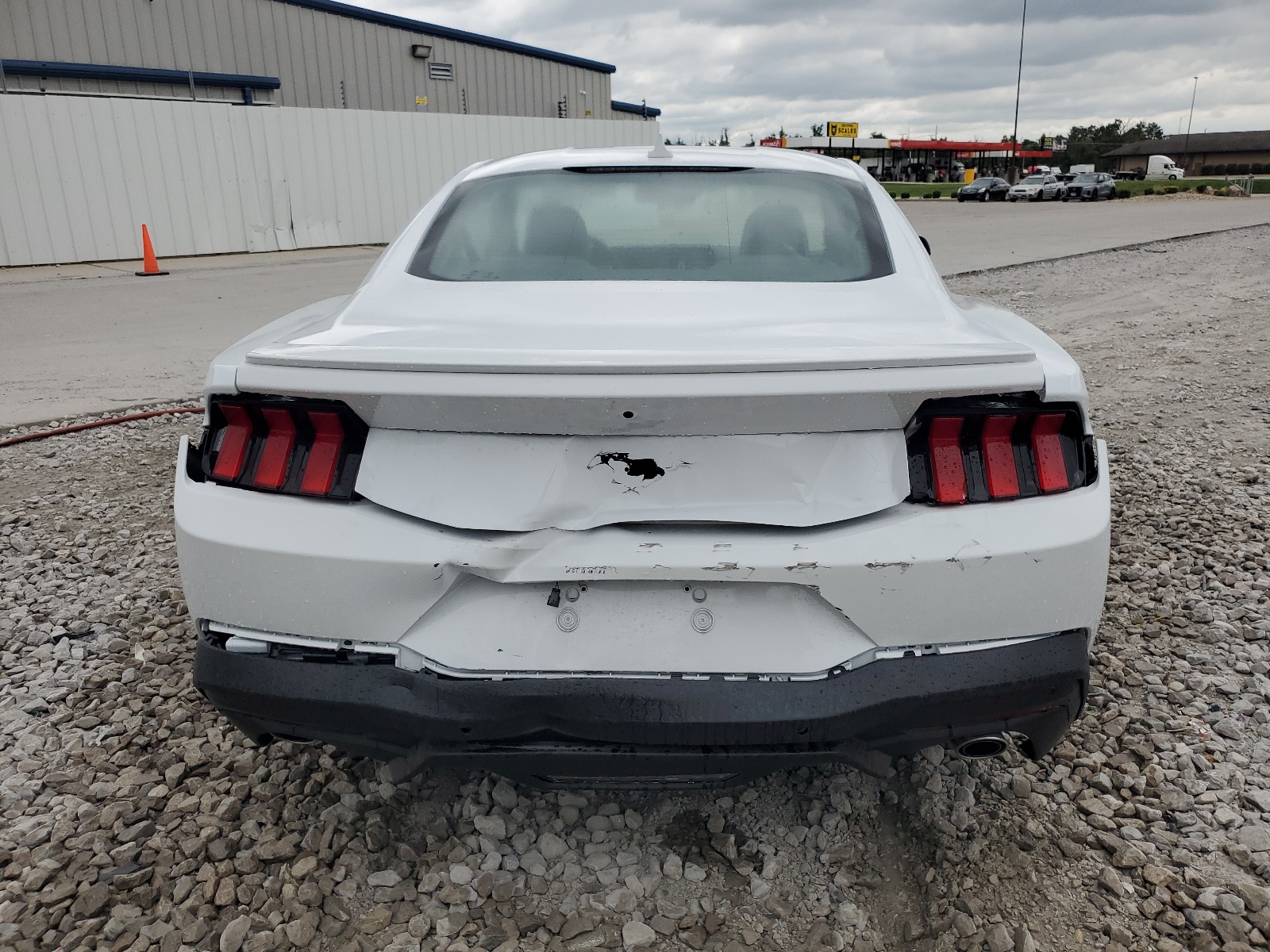 1FA6P8TH1R5137427 2024 Ford Mustang