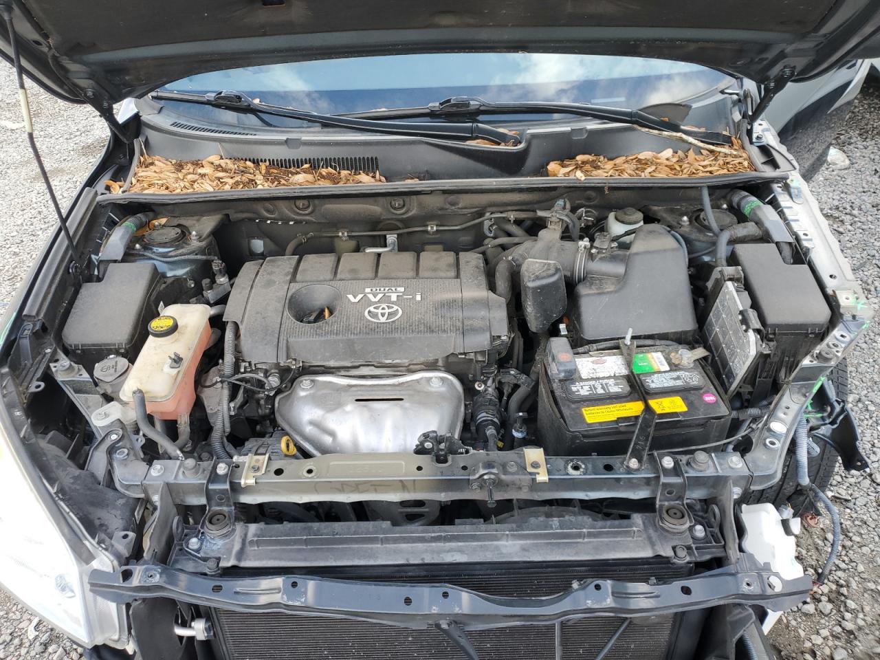 2011 Toyota Rav4 VIN: 2T3KF4DV5BW063338 Lot: 66650964