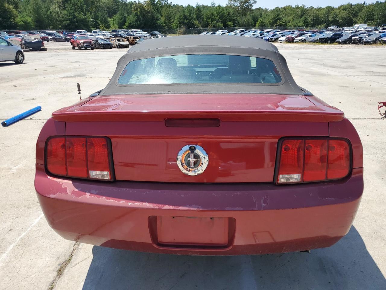 2007 Ford Mustang VIN: 1ZVFT84N375262112 Lot: 68143774