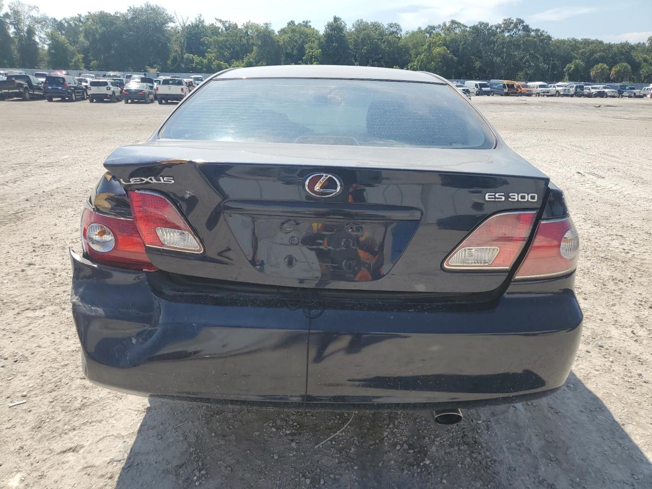 2002 Lexus Es 300 VIN: JTHBF30G025033378 Lot: 66869804