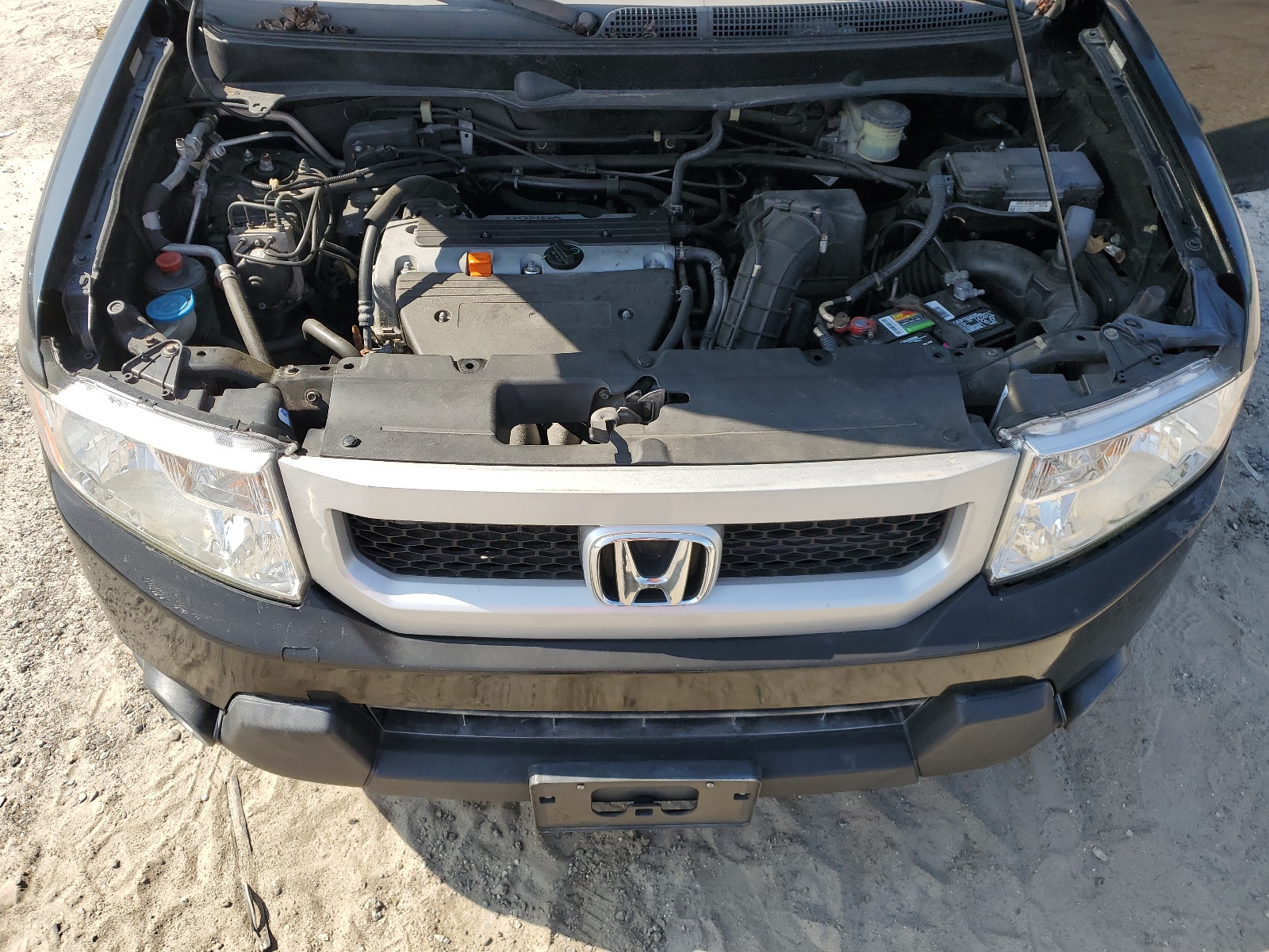 5J6YH187X9L001939 2009 Honda Element Ex