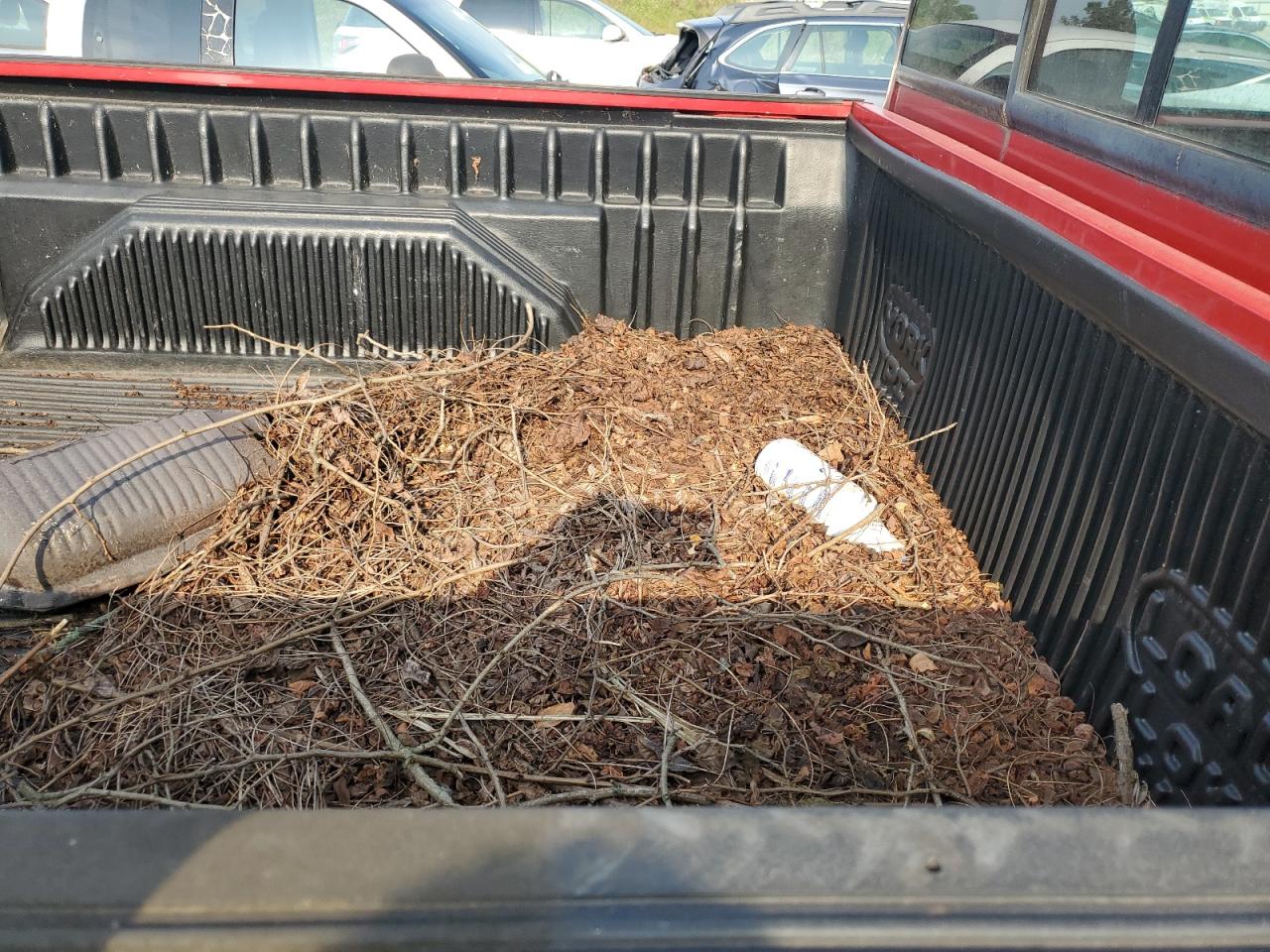 1994 Dodge Ram 1500 VIN: 3B7HF16Y7RM561164 Lot: 65413804