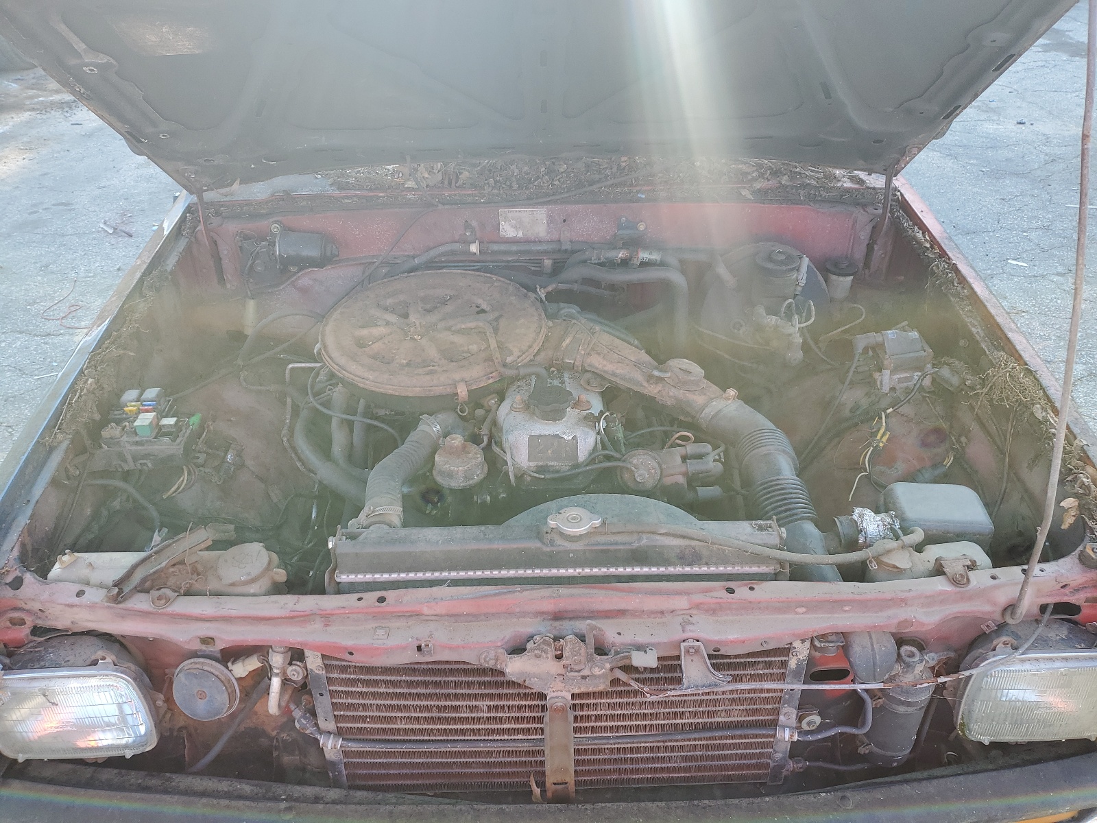 JT4RN55R4E0057550 1984 Toyota Pickup 1/2 Ton Rn55