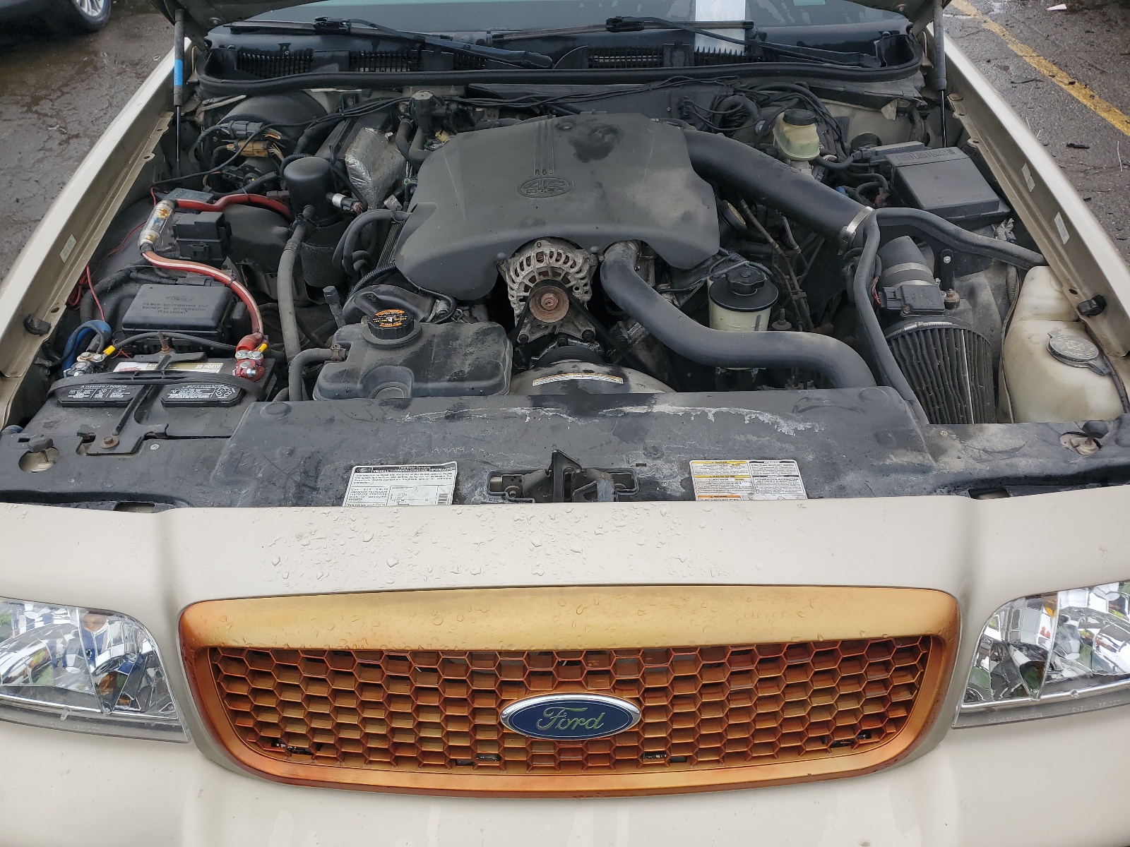 2FAFP73W1XX154619 1999 Ford Crown Victoria