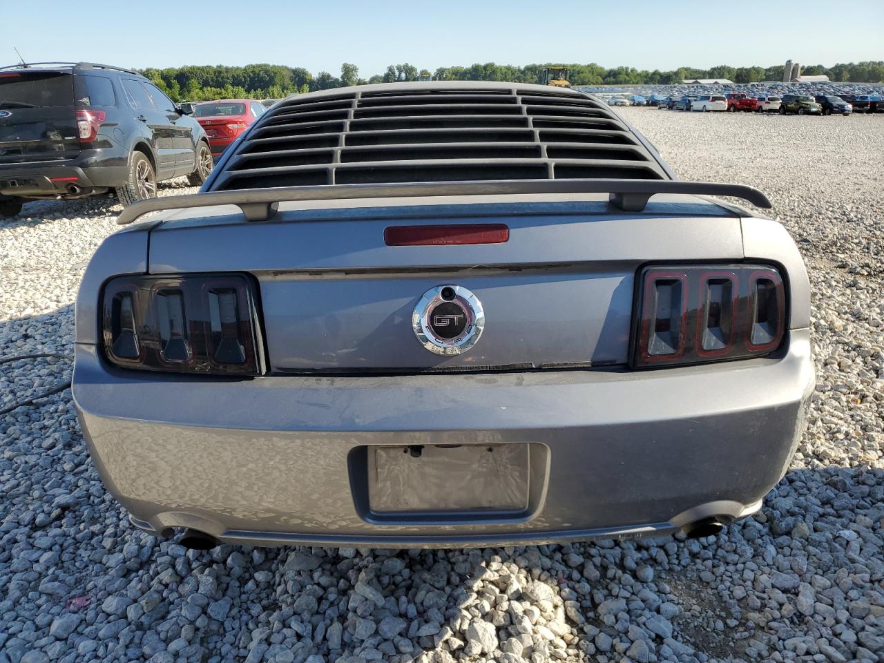 2006 Ford Mustang Gt VIN: 1ZVHT82H865160471 Lot: 66442234