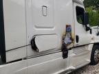 2019 Freightliner Cascadia 125  zu verkaufen in West Warren, MA - Burn - Interior