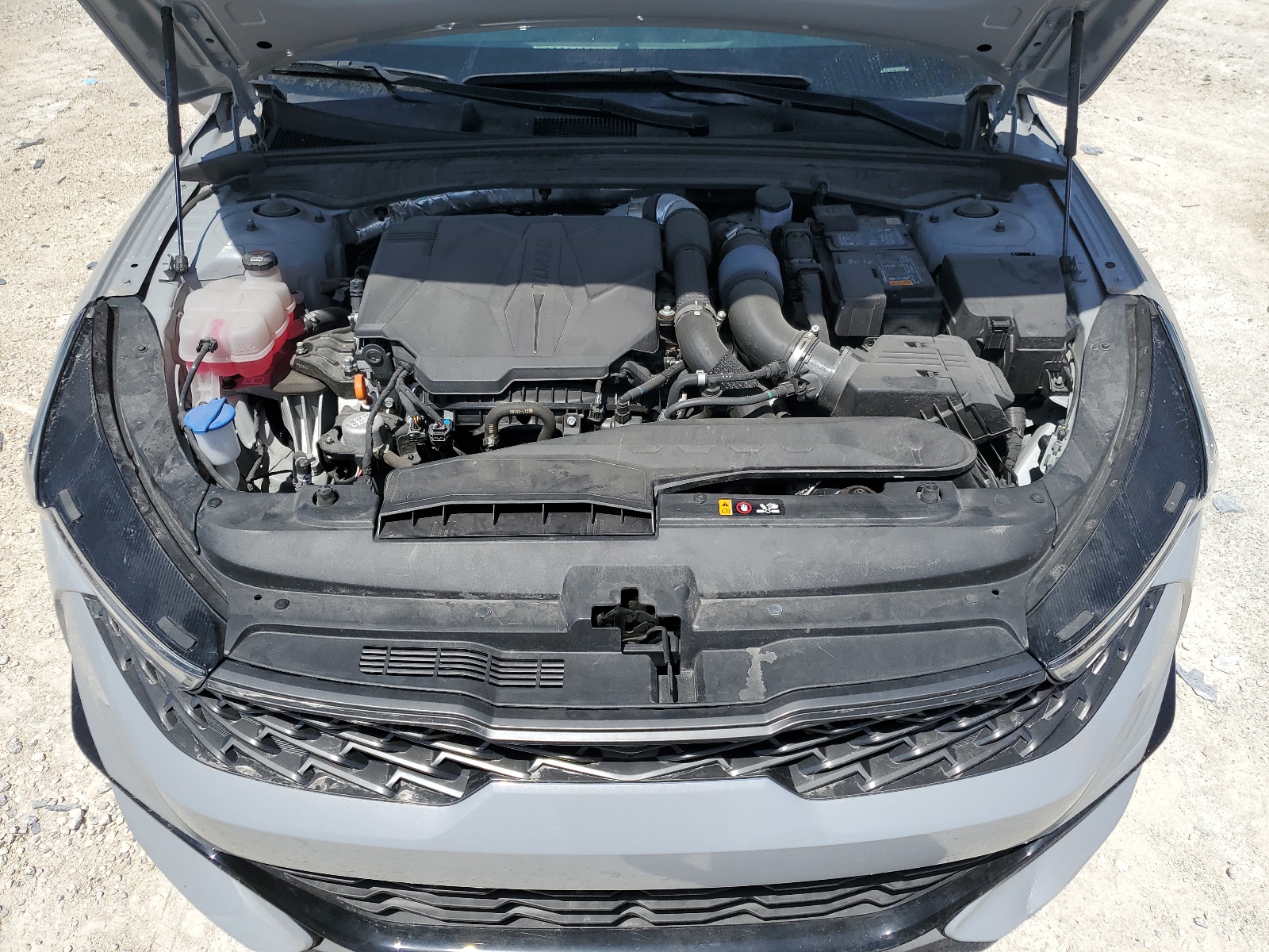 5XXG44J85PG203165 2023 Kia K5 Gt