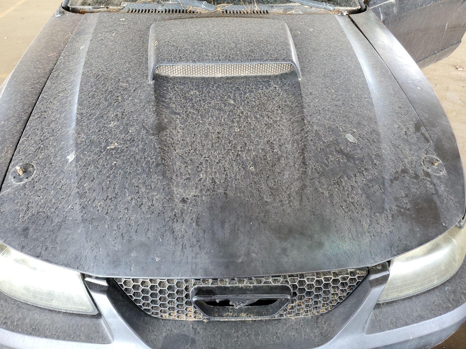 1FAFP45XX1F206868 2001 Ford Mustang Gt