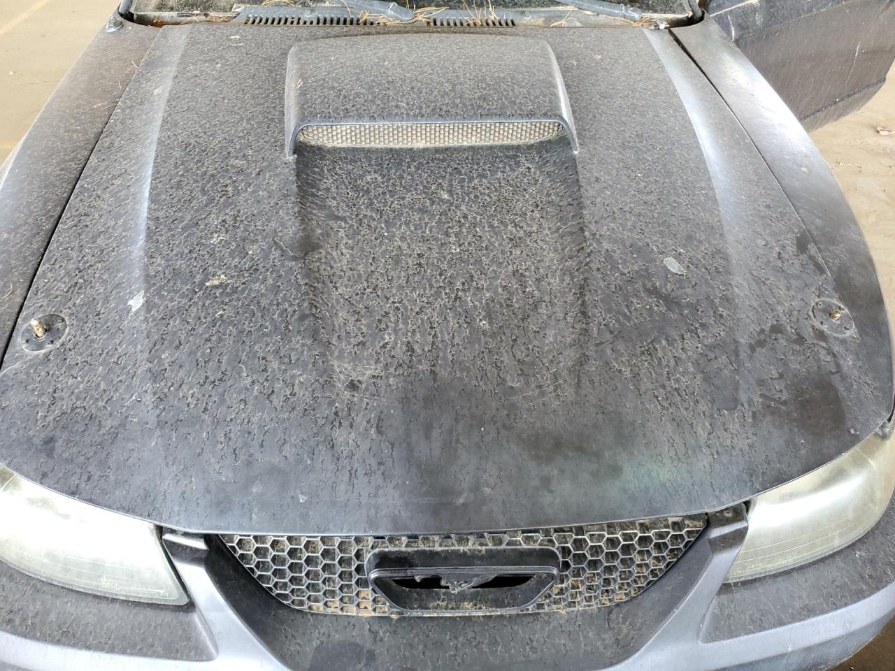 2001 Ford Mustang Gt VIN: 1FAFP45XX1F206868 Lot: 65962674