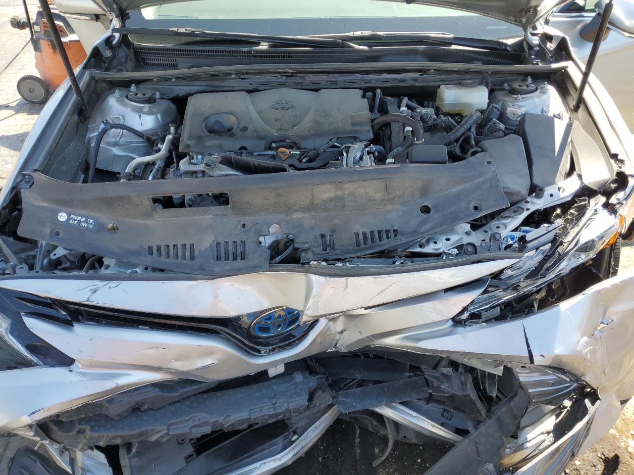 4T1F31AKXLU534493 2020 Toyota Camry Xle