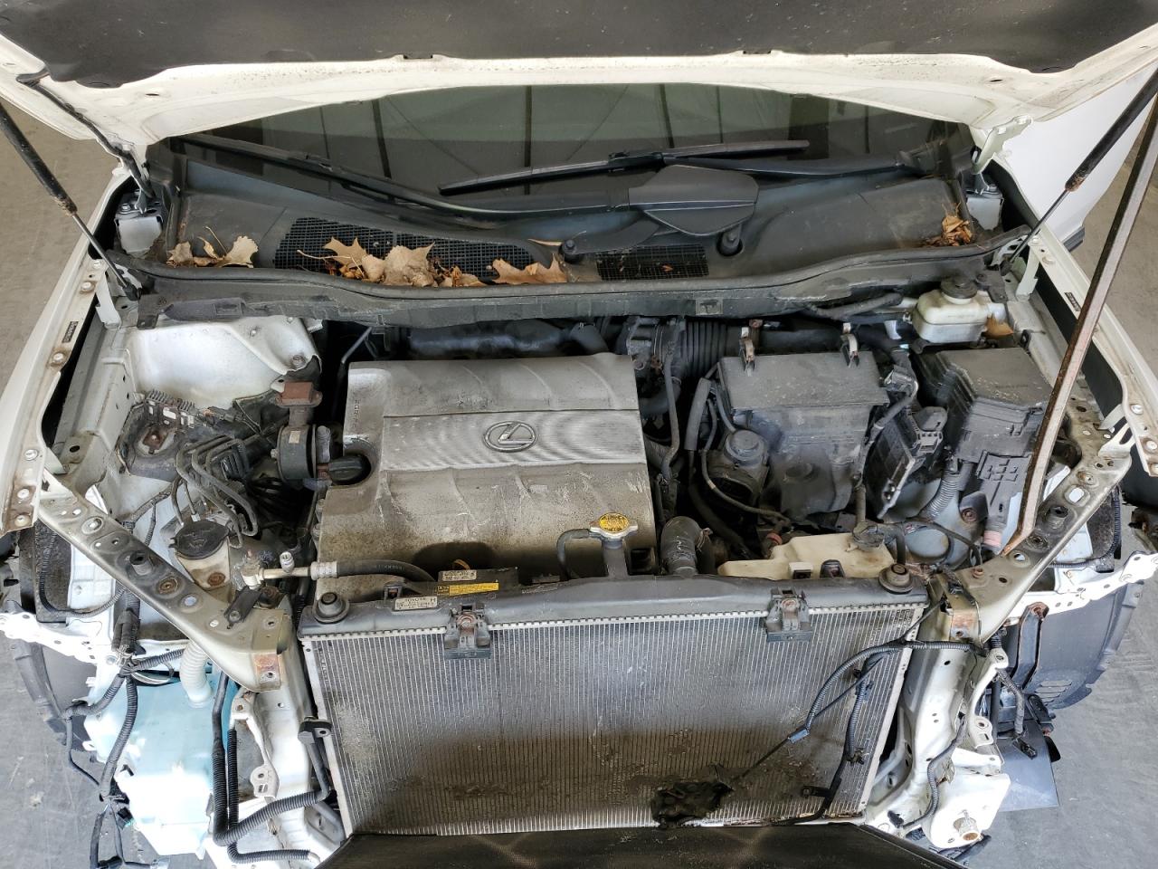 2010 Lexus Rx 350 VIN: 2T2BK1BA7AC046118 Lot: 66776574