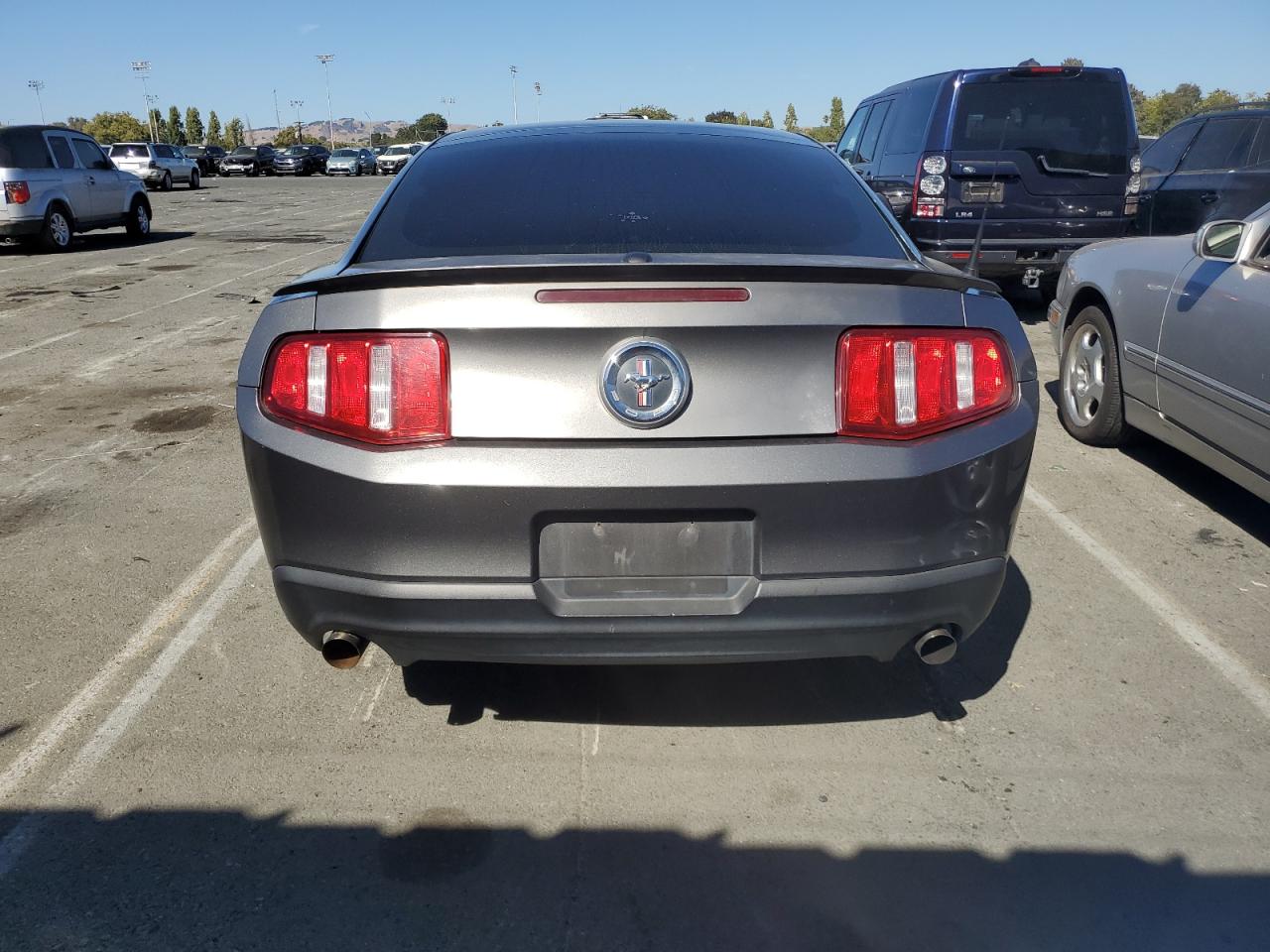 2010 Ford Mustang VIN: 1ZVBP8AN4A5132631 Lot: 66992714