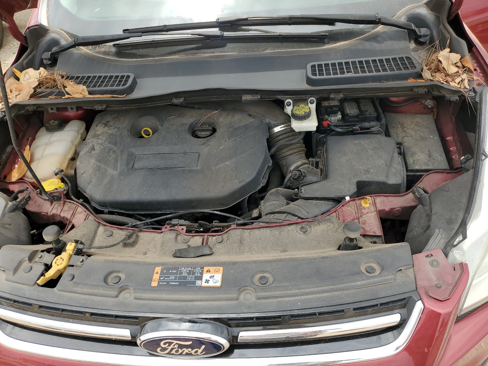 1FMCU0J92EUE55166 2014 Ford Escape Titanium