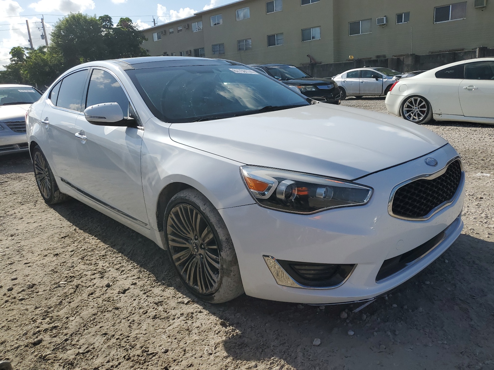 KNALN4D7XE5142795 2014 Kia Cadenza Premium