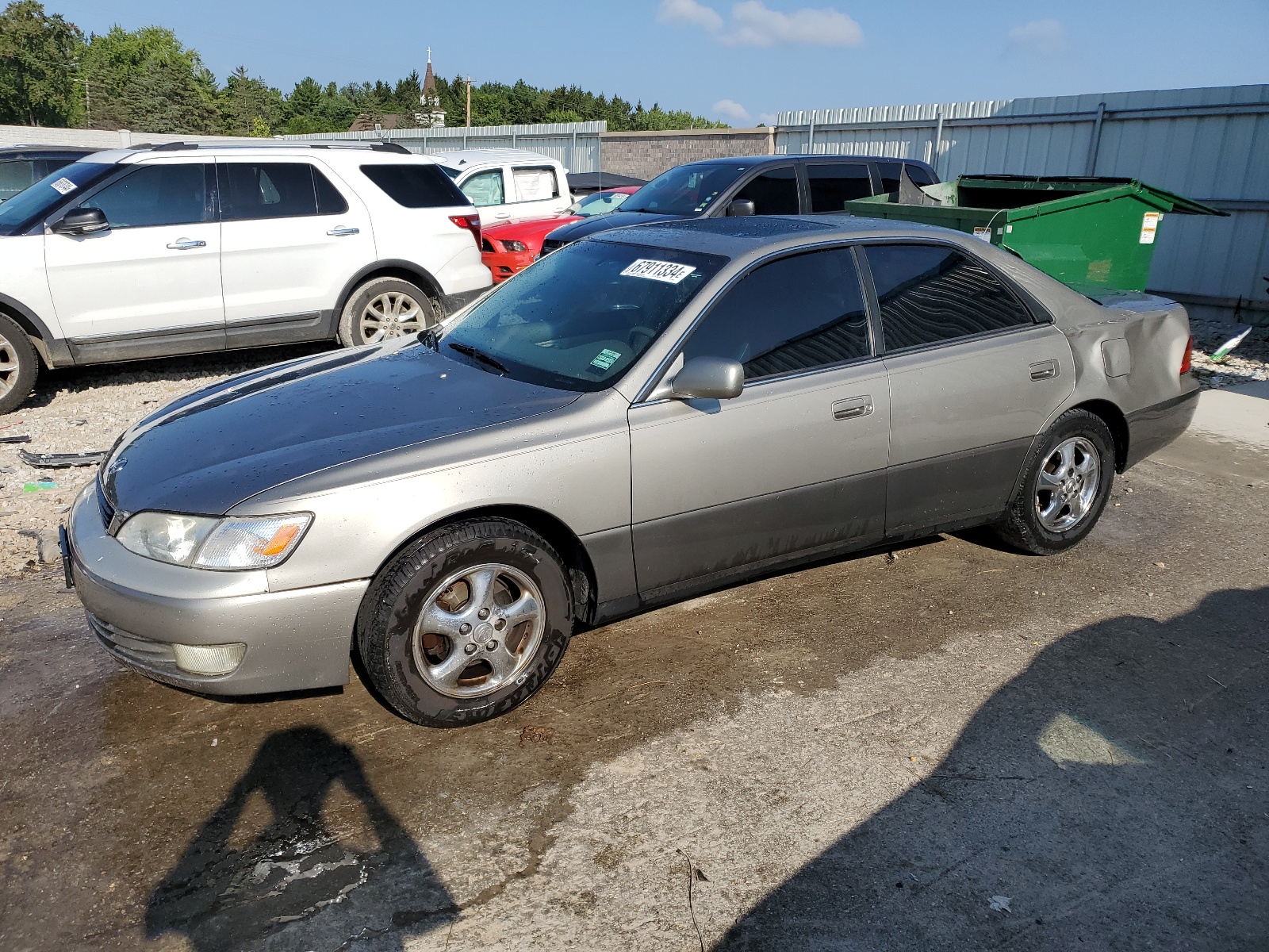 JT8BF28G1X0234225 1999 Lexus Es 300