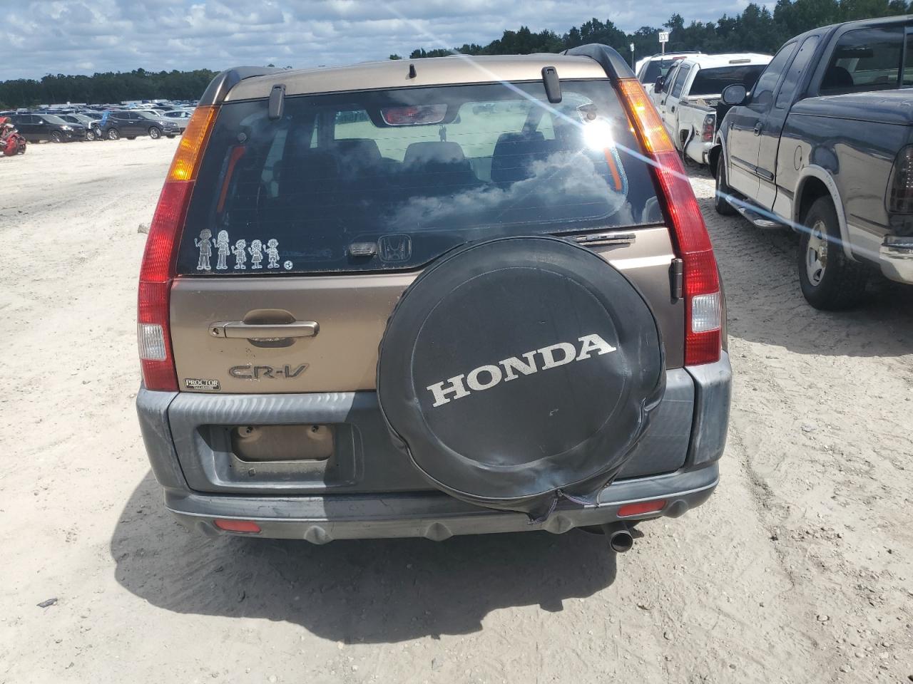 2004 Honda Cr-V Lx VIN: JHLRD68484C004407 Lot: 69209154