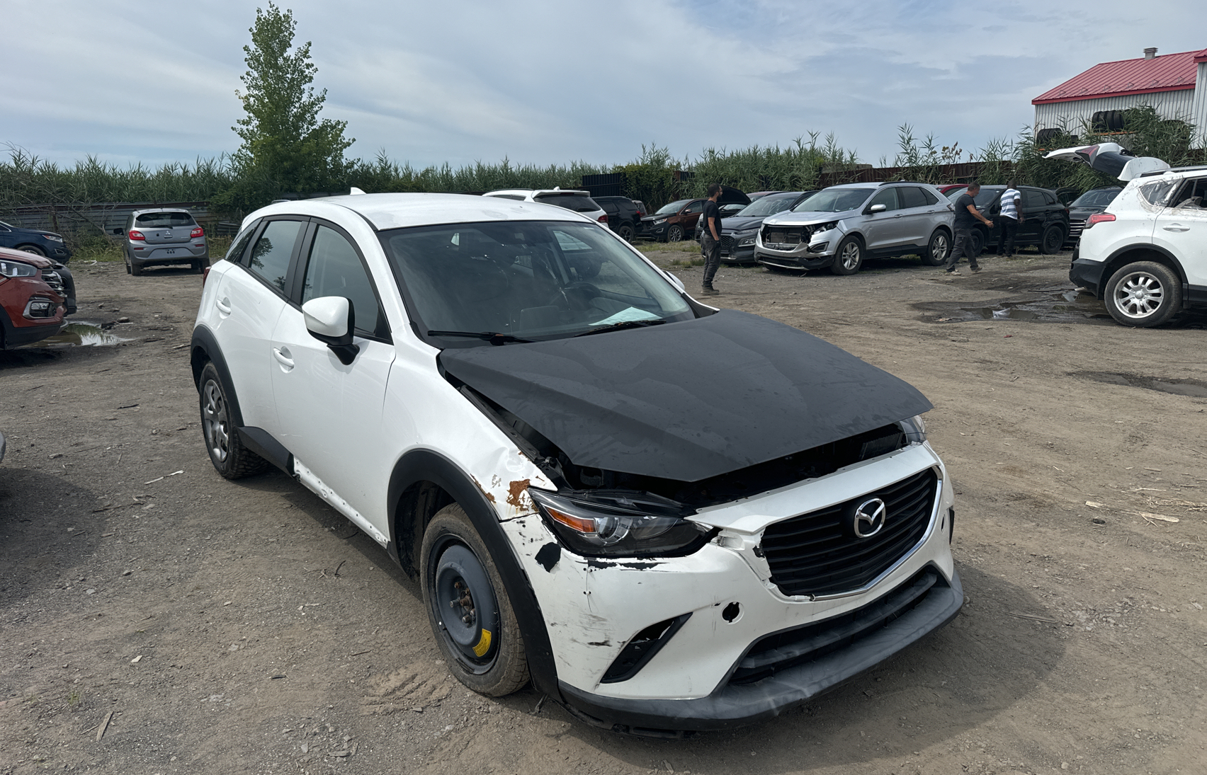 JM1DKBB79G0103137 2016 Mazda Cx-3 Sport