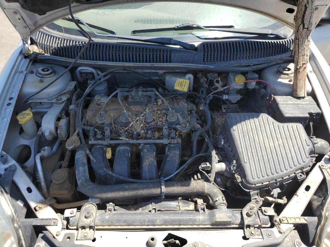2004 Dodge Neon Sxt VIN: 1B3ES56C64D577226 Lot: 77482994