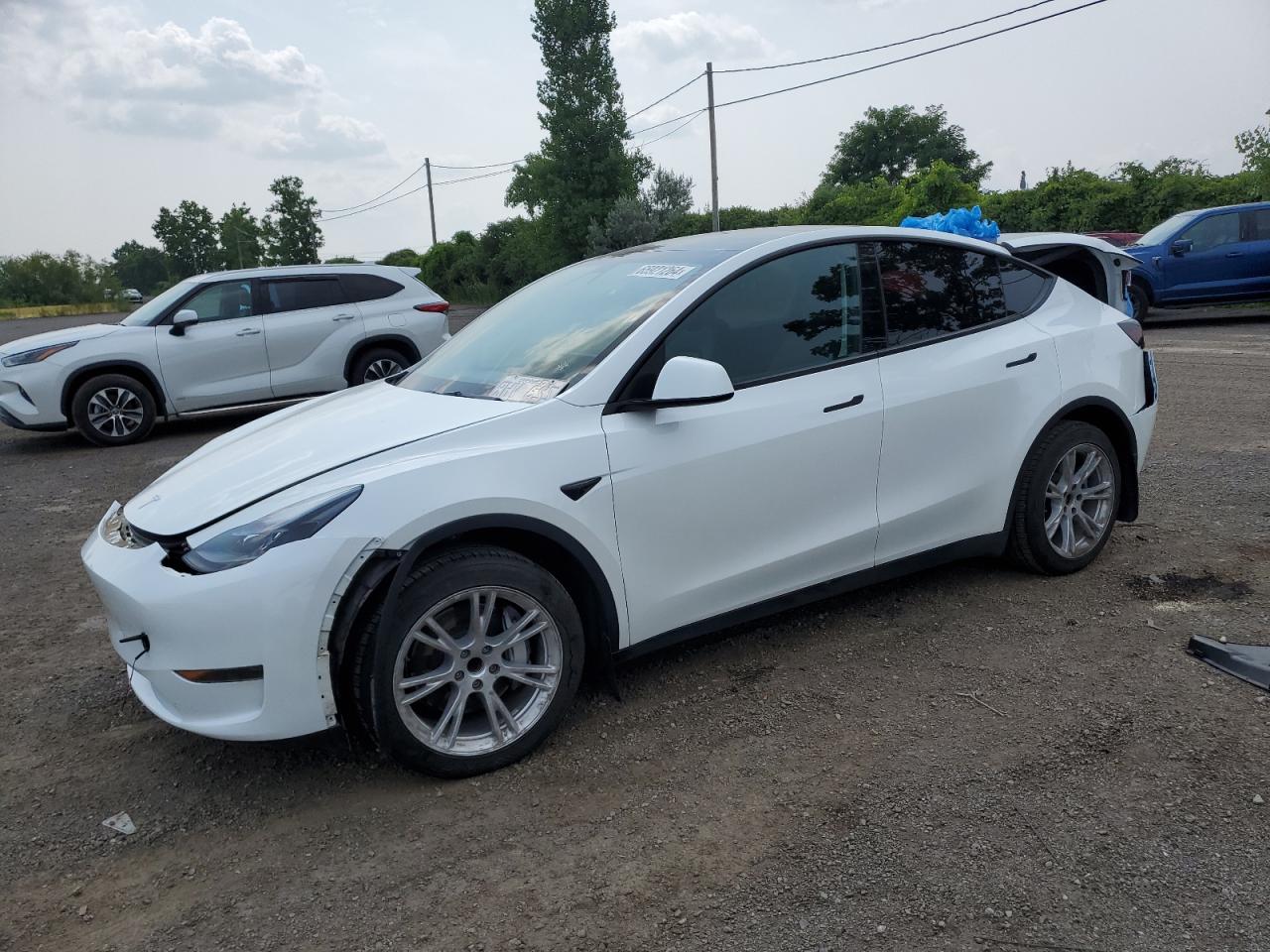 LRWYGDFD0PC966807 2023 TESLA MODEL Y - Image 1