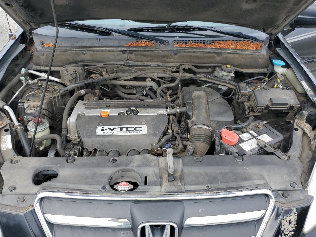 2005 Honda Cr-V Se VIN: JHLRD78985C050001 Lot: 66425304