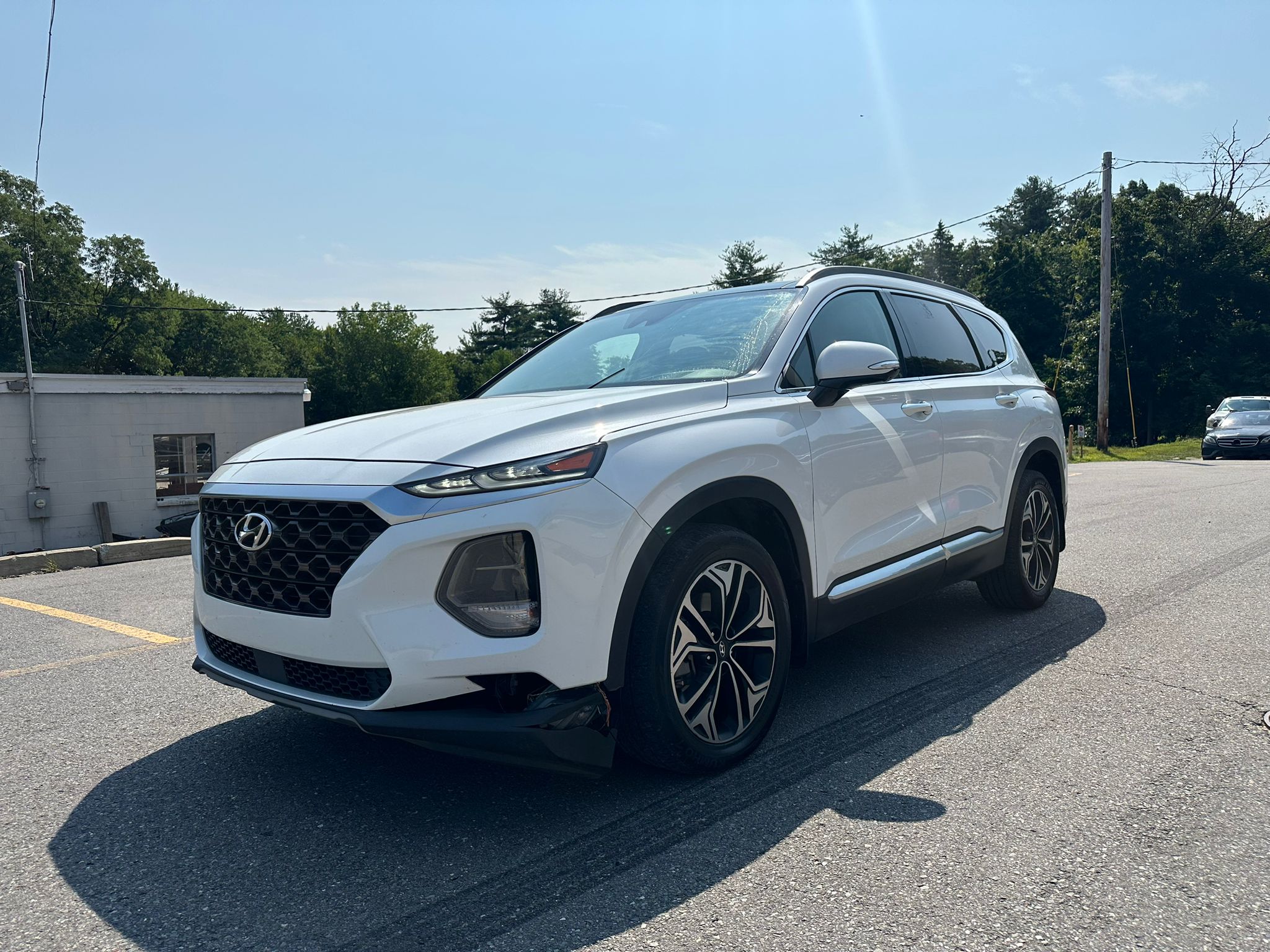 2019 Hyundai Santa Fe Limited vin: 5NMS53AA0KH096055