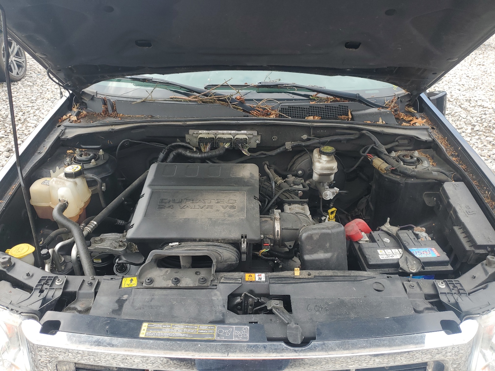 1FMCU9EG9CKB29113 2012 Ford Escape Limited