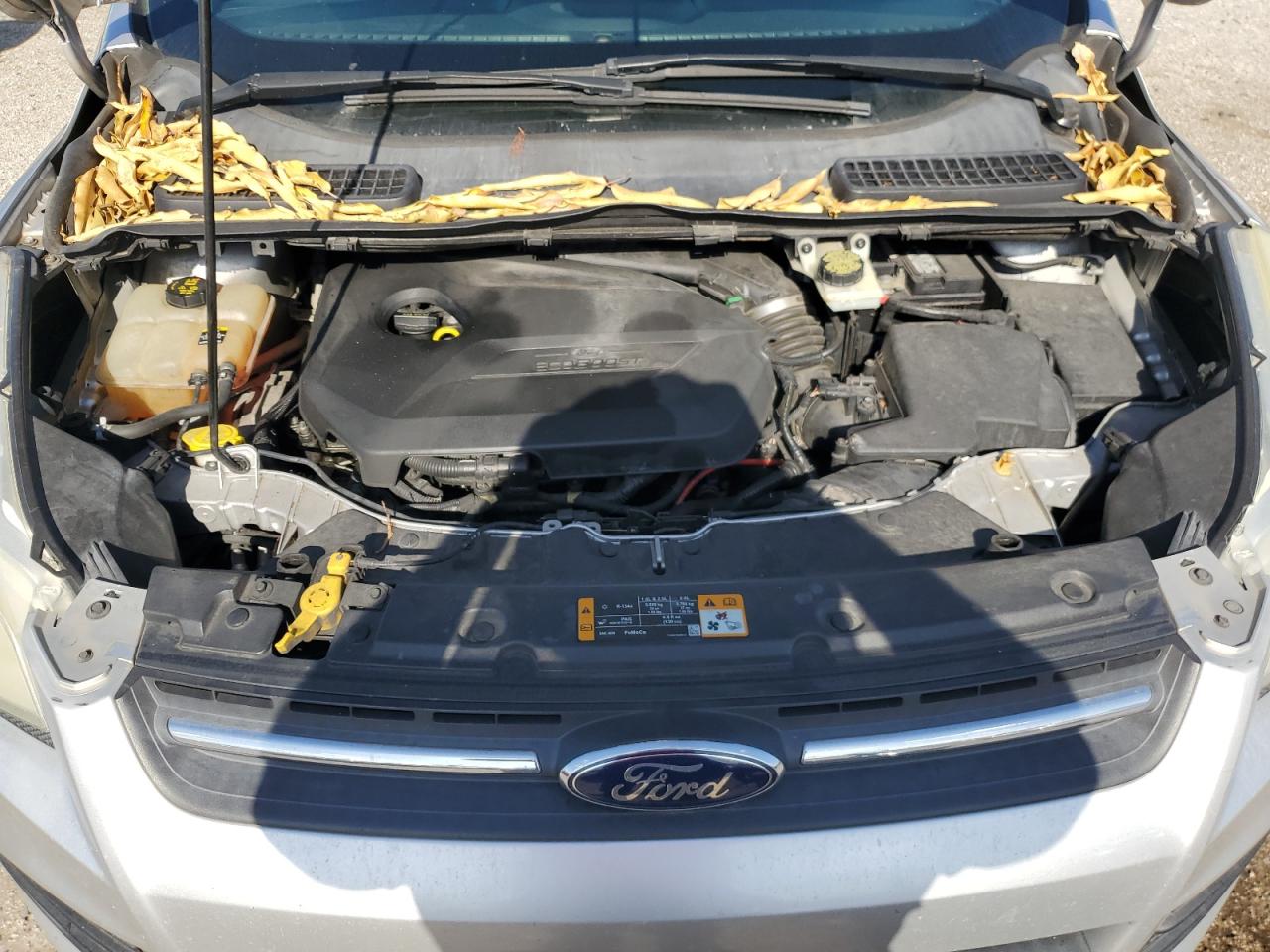 2013 Ford Escape Se VIN: 1FMCU0GX5DUD64459 Lot: 67458784