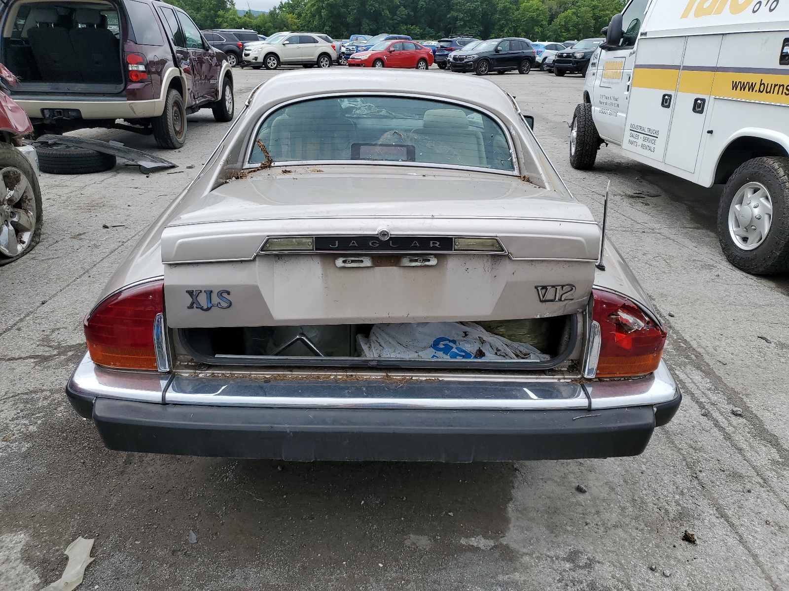 SAJNA5841KC150368 1989 Jaguar Xjs